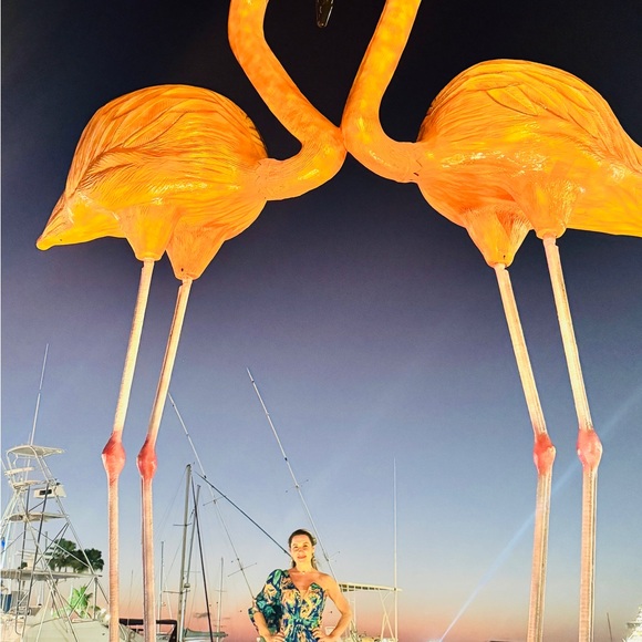 Dress - Picture 5 of 5